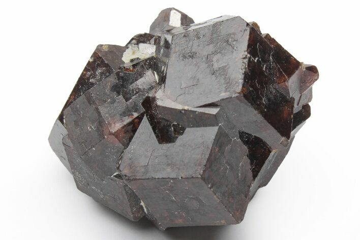 Sharply Terminated Garnet Cluster - Pakistan #213345